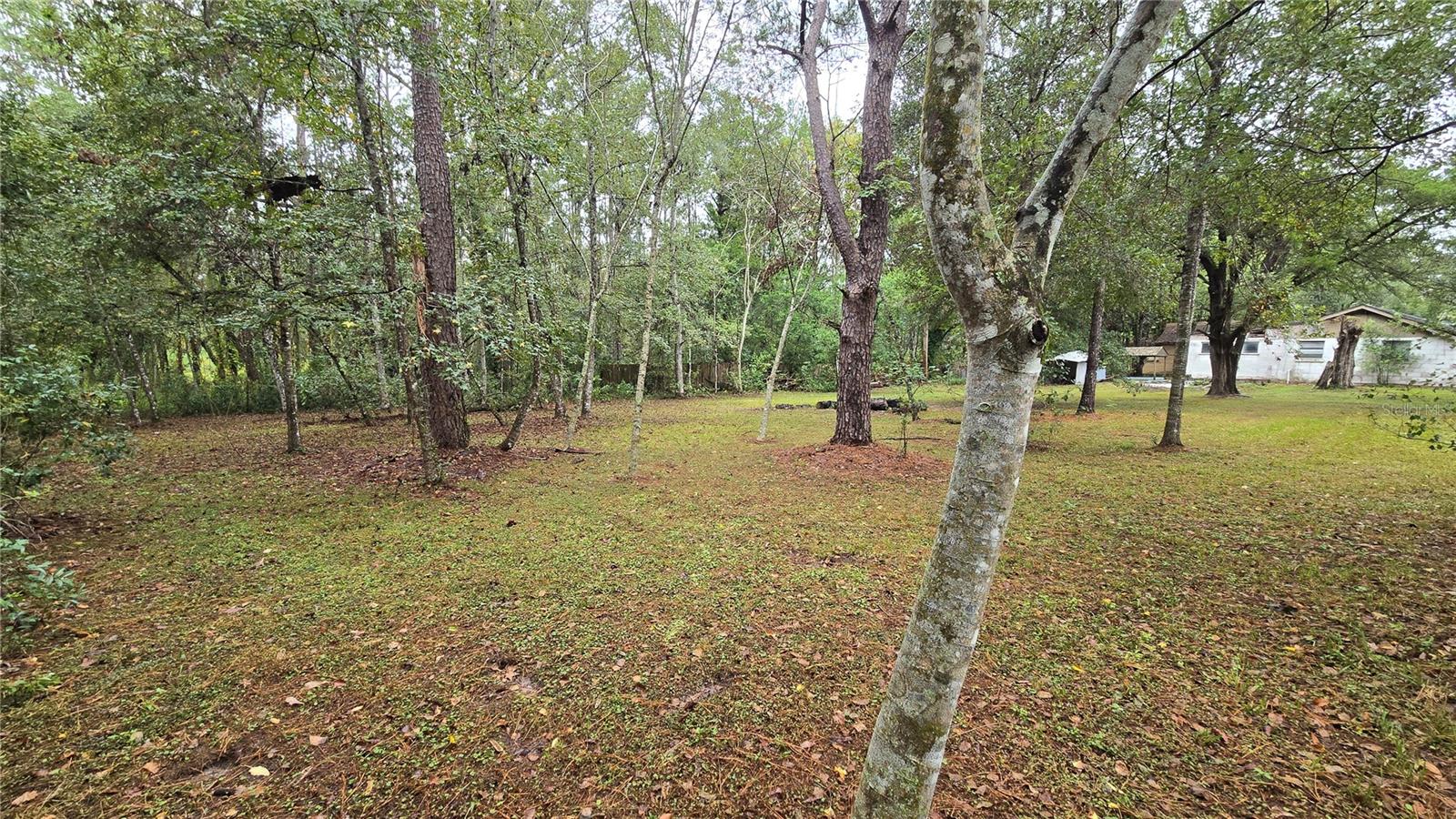 18426 POWELL RD, BROOKSVILLE, FL, 34604