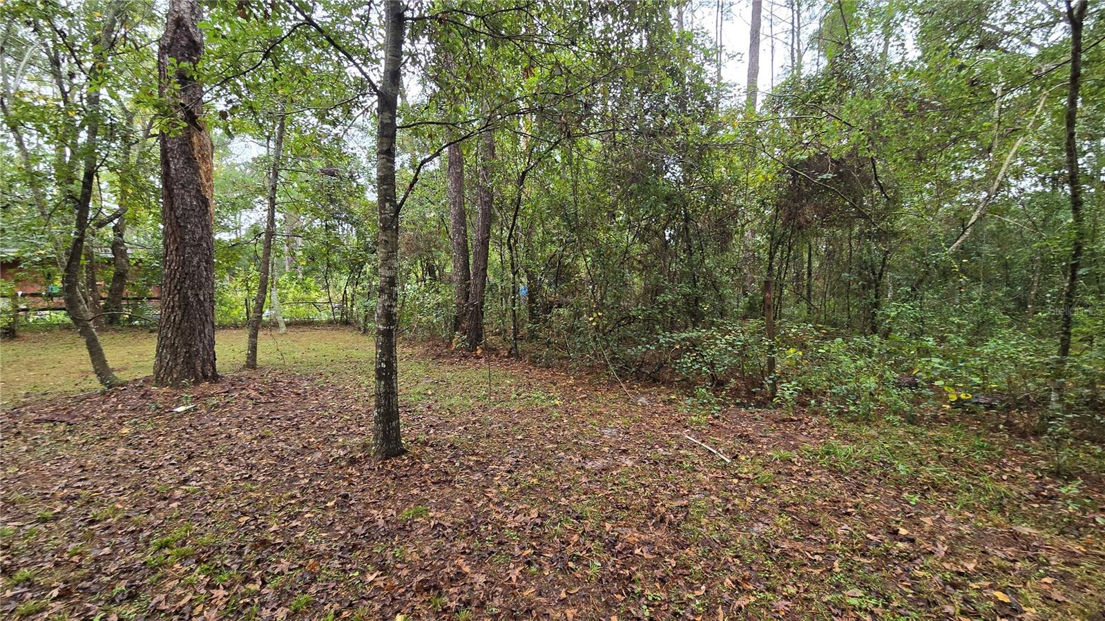 18426 POWELL RD, BROOKSVILLE, FL, 34604