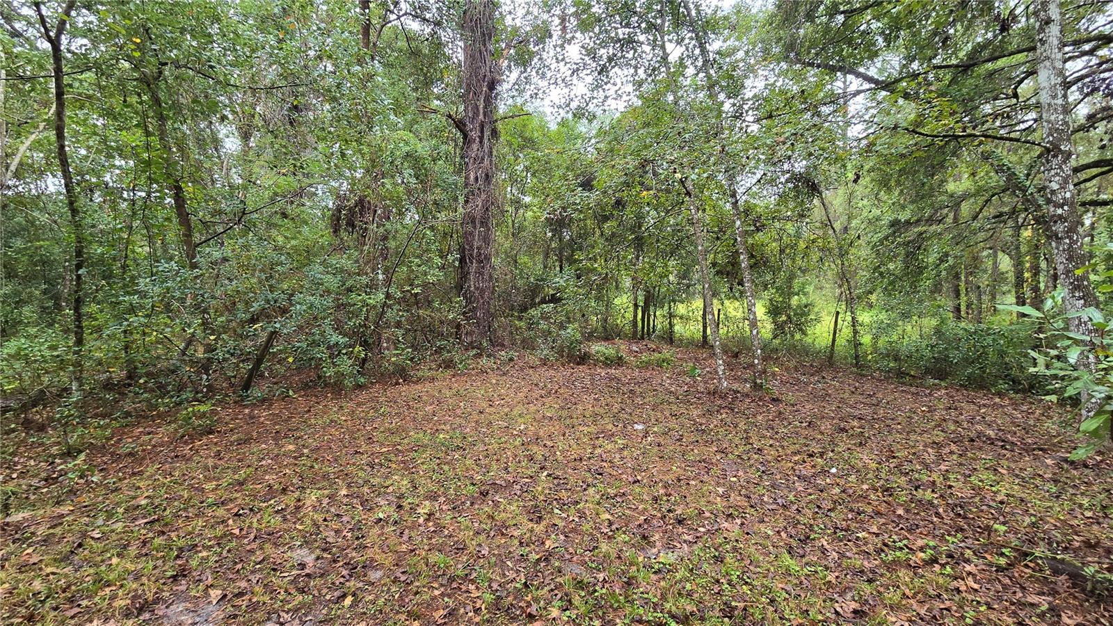 18426 POWELL RD, BROOKSVILLE, FL, 34604