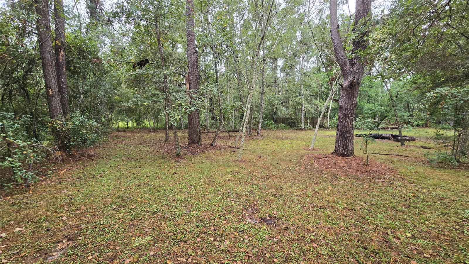 18426 POWELL RD, BROOKSVILLE, FL, 34604