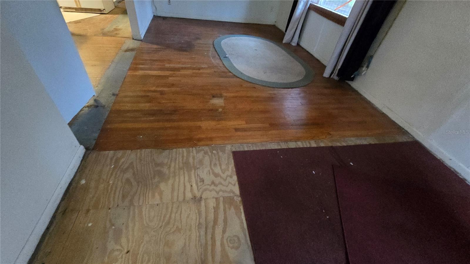 18426 POWELL RD, BROOKSVILLE, FL, 34604