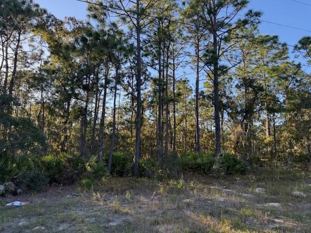 2862 N STAMPEDE DR, BEVERLY HILLS, FL, 34465