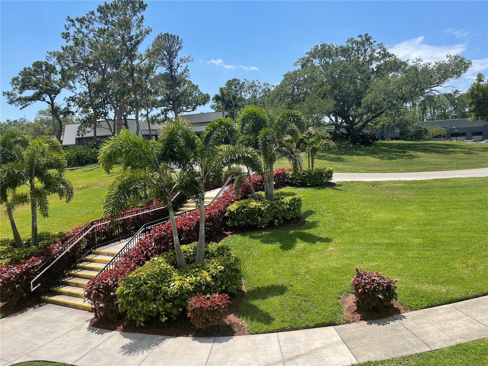 36750 US HIGHWAY 19 N #4-205, PALM HARBOR, FL, 34683