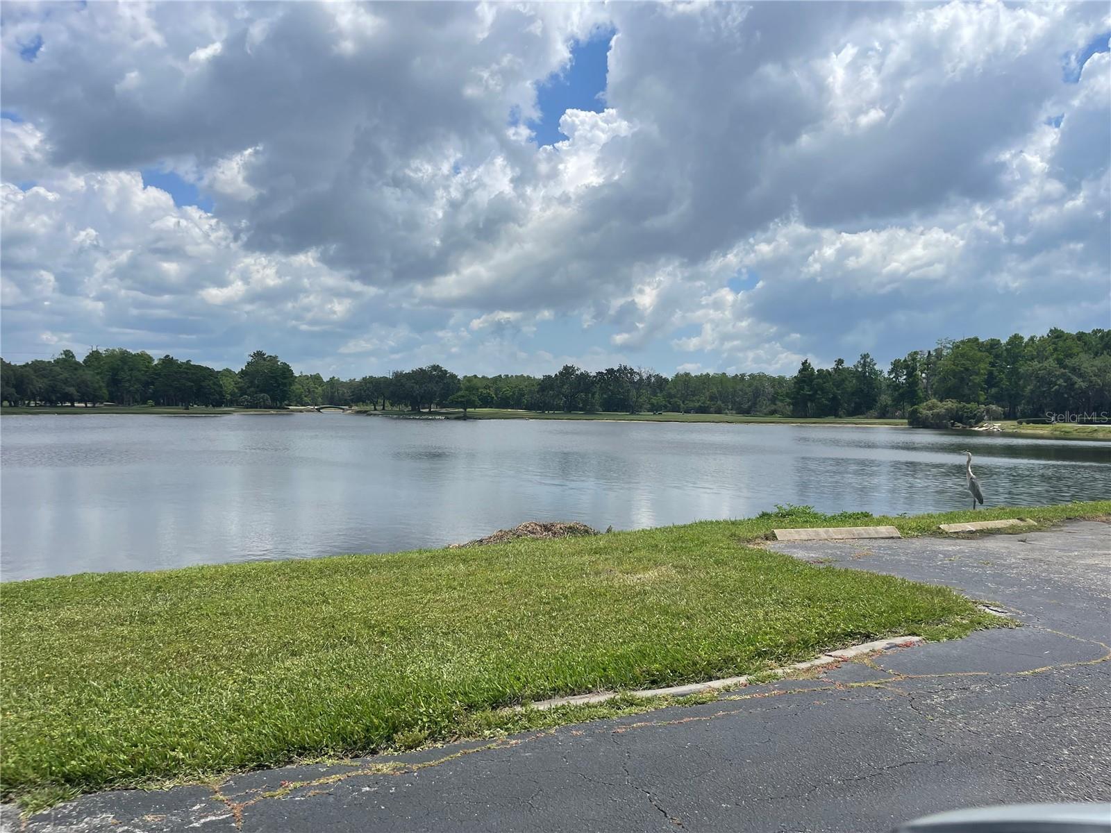 36750 US HIGHWAY 19 N #4-205, PALM HARBOR, FL, 34683