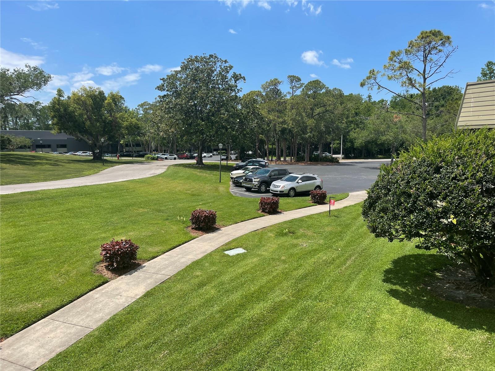 36750 US HIGHWAY 19 N #4-205, PALM HARBOR, FL, 34683