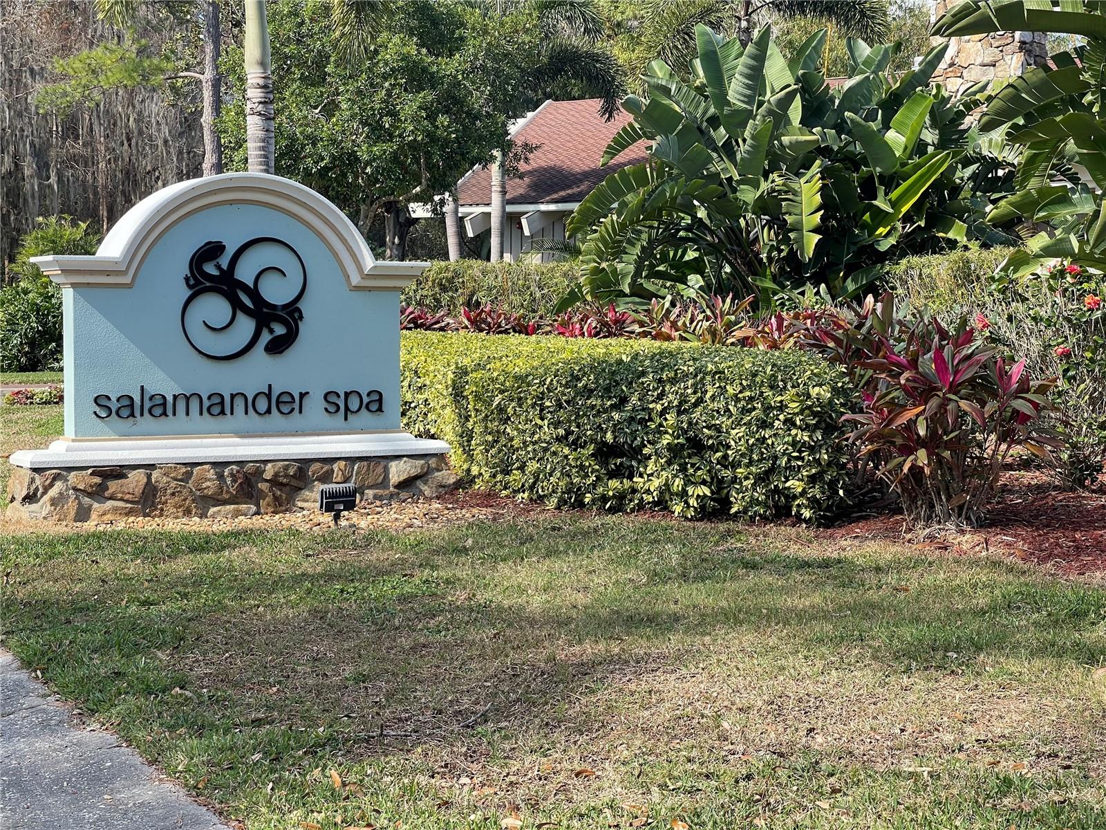 36750 US HIGHWAY 19 N #4-205, PALM HARBOR, FL, 34683