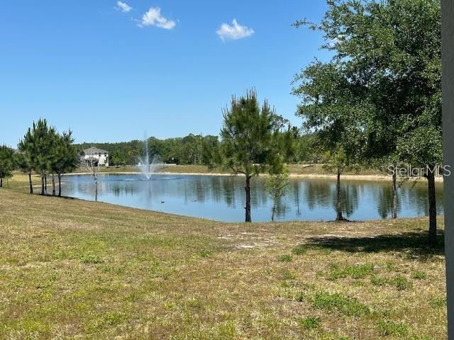 17249 GOLDCREST LOOP, CLERMONT, FL, 34714