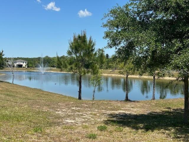 17249 GOLDCREST LOOP, CLERMONT, FL, 34714