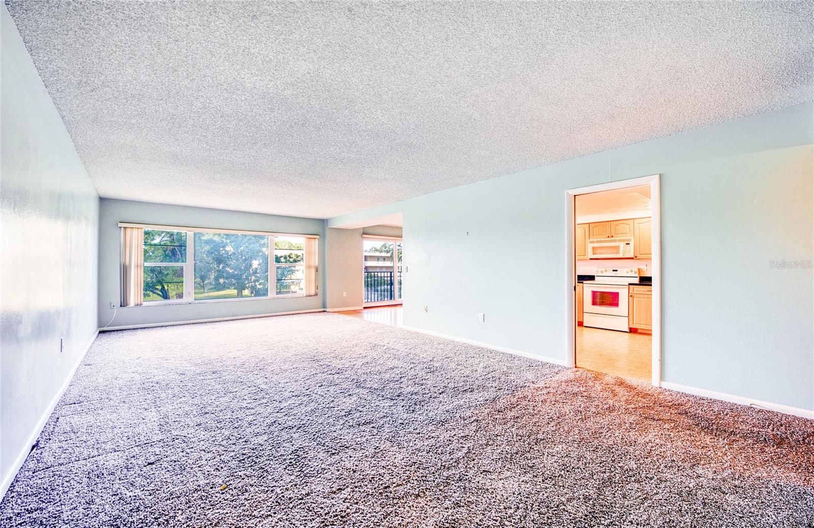 225 COUNTRY CLUB DR #1209, LARGO, FL, 33771