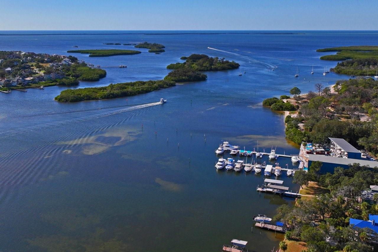 2118 PARROT FISH DR, HOLIDAY, FL, 34691