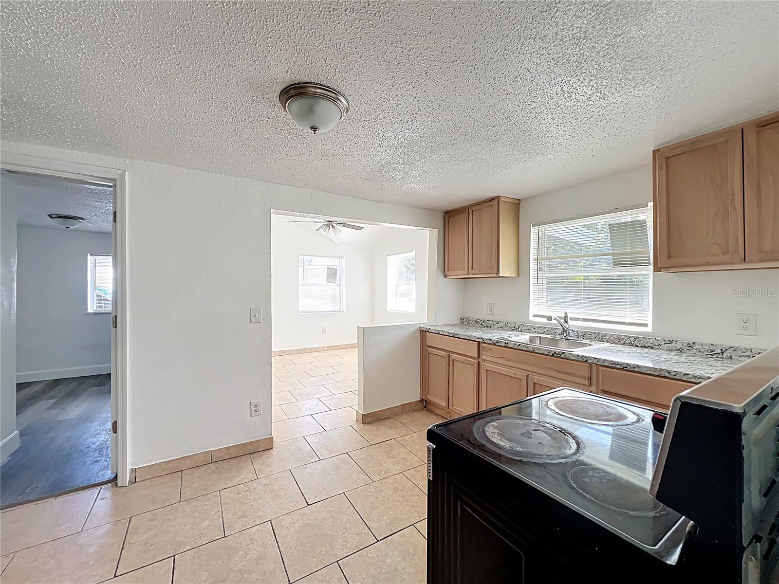 1329 30TH ST, ORLANDO, FL, 32805