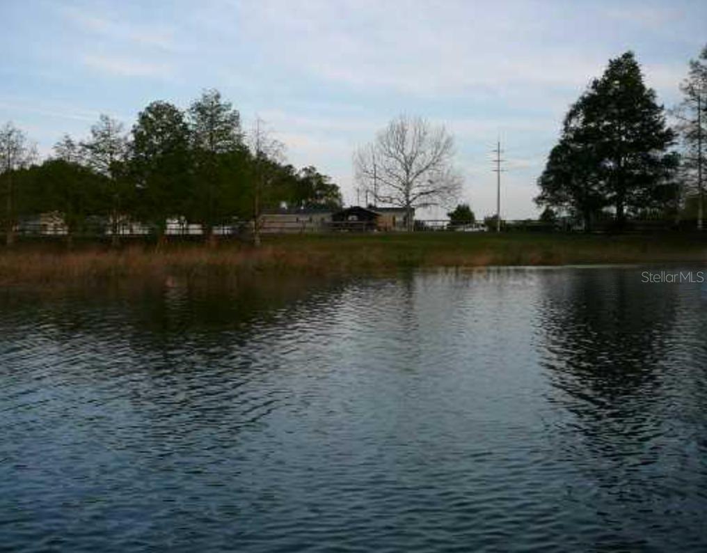 309 LAKE ANNIE DR., APOPKA, FL, 32703