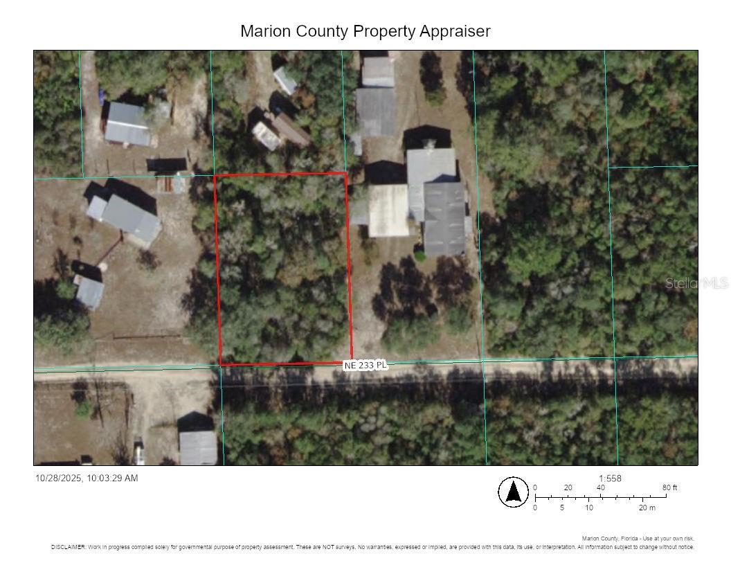 TBD NE 233RD PL, FORT MC COY, FL, 32134