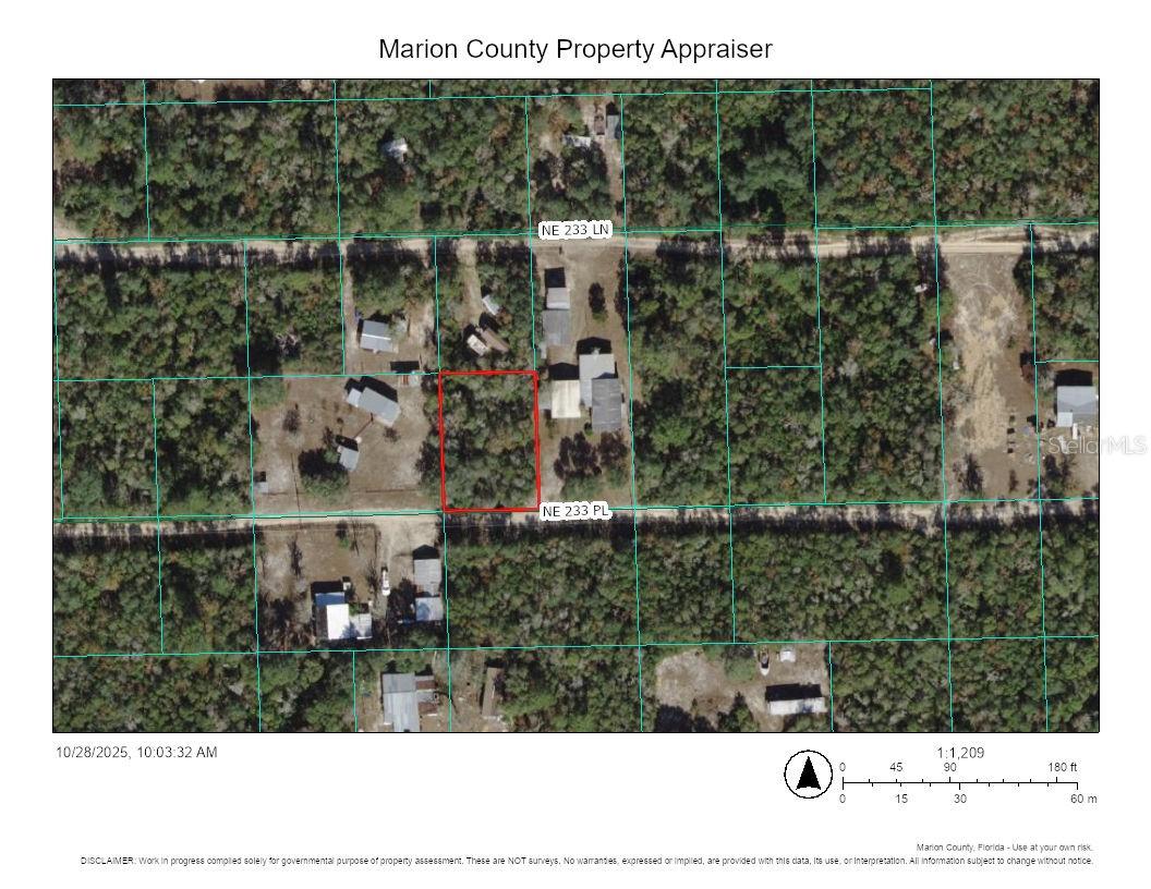 TBD NE 233RD PL, FORT MC COY, FL, 32134