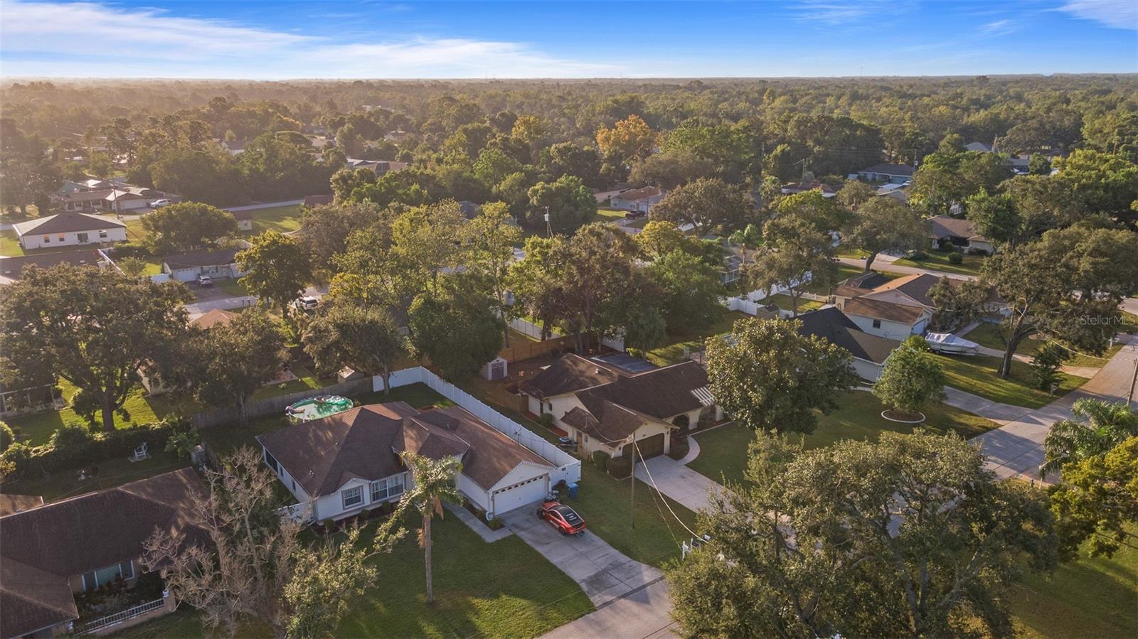 1230 VAN DALE AVE, SPRING HILL, FL, 34608