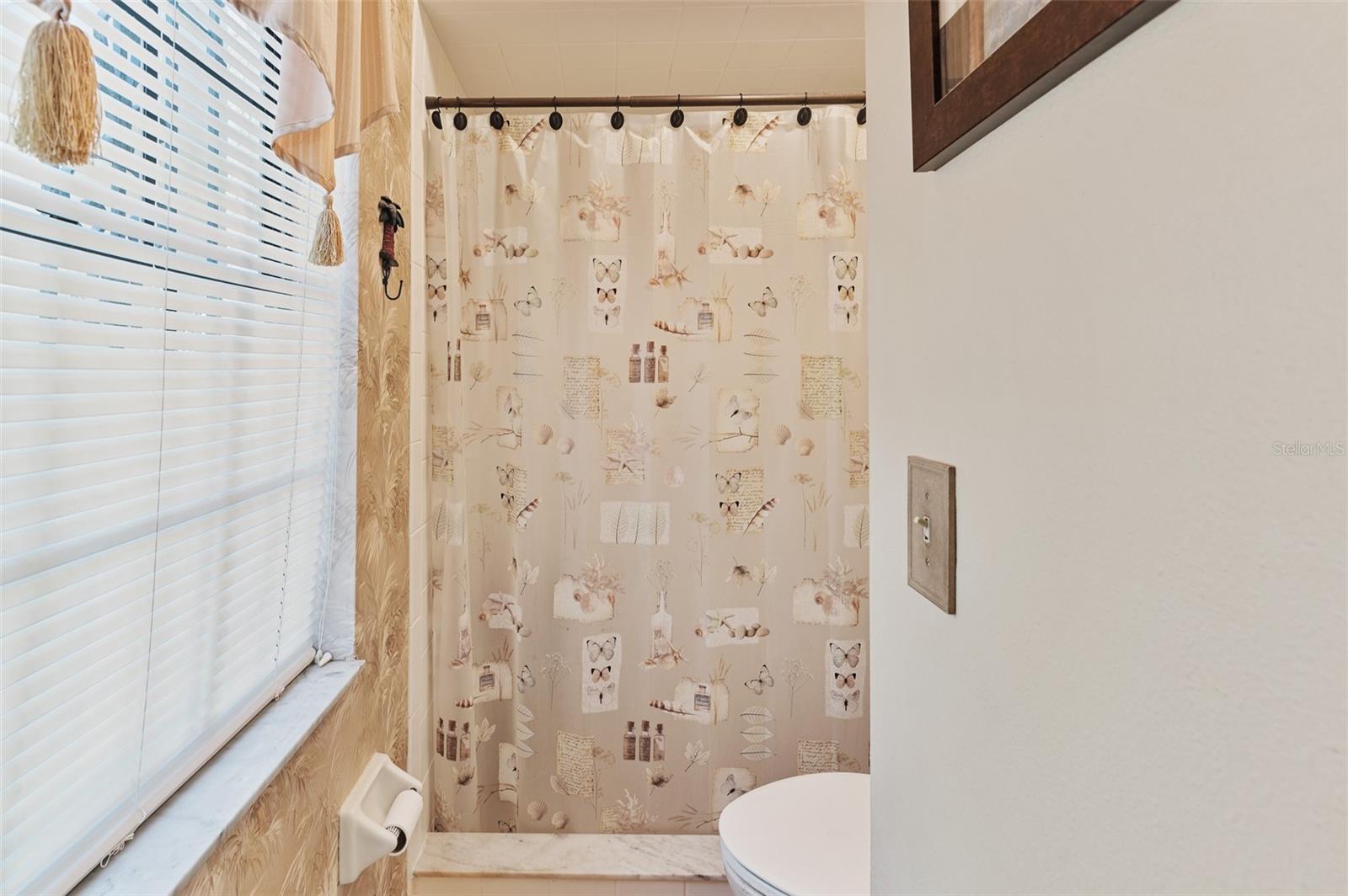 1230 VAN DALE AVE, SPRING HILL, FL, 34608