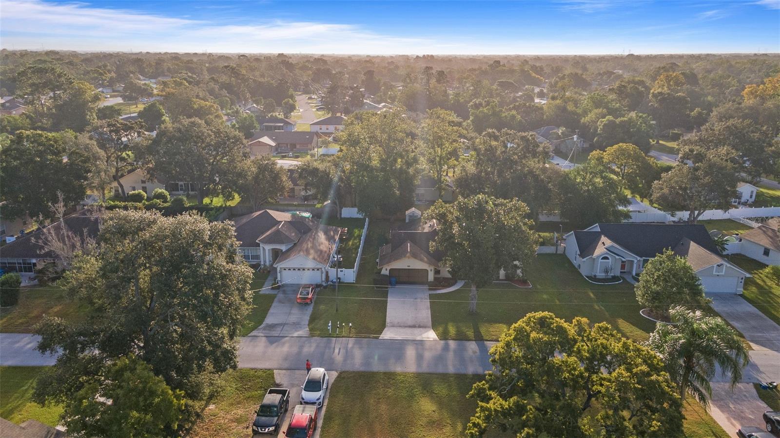 1230 VAN DALE AVE, SPRING HILL, FL, 34608