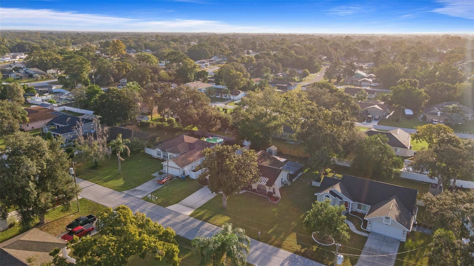 1230 VAN DALE AVE, SPRING HILL, FL, 34608