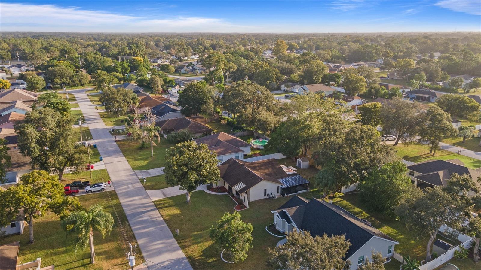 1230 VAN DALE AVE, SPRING HILL, FL, 34608