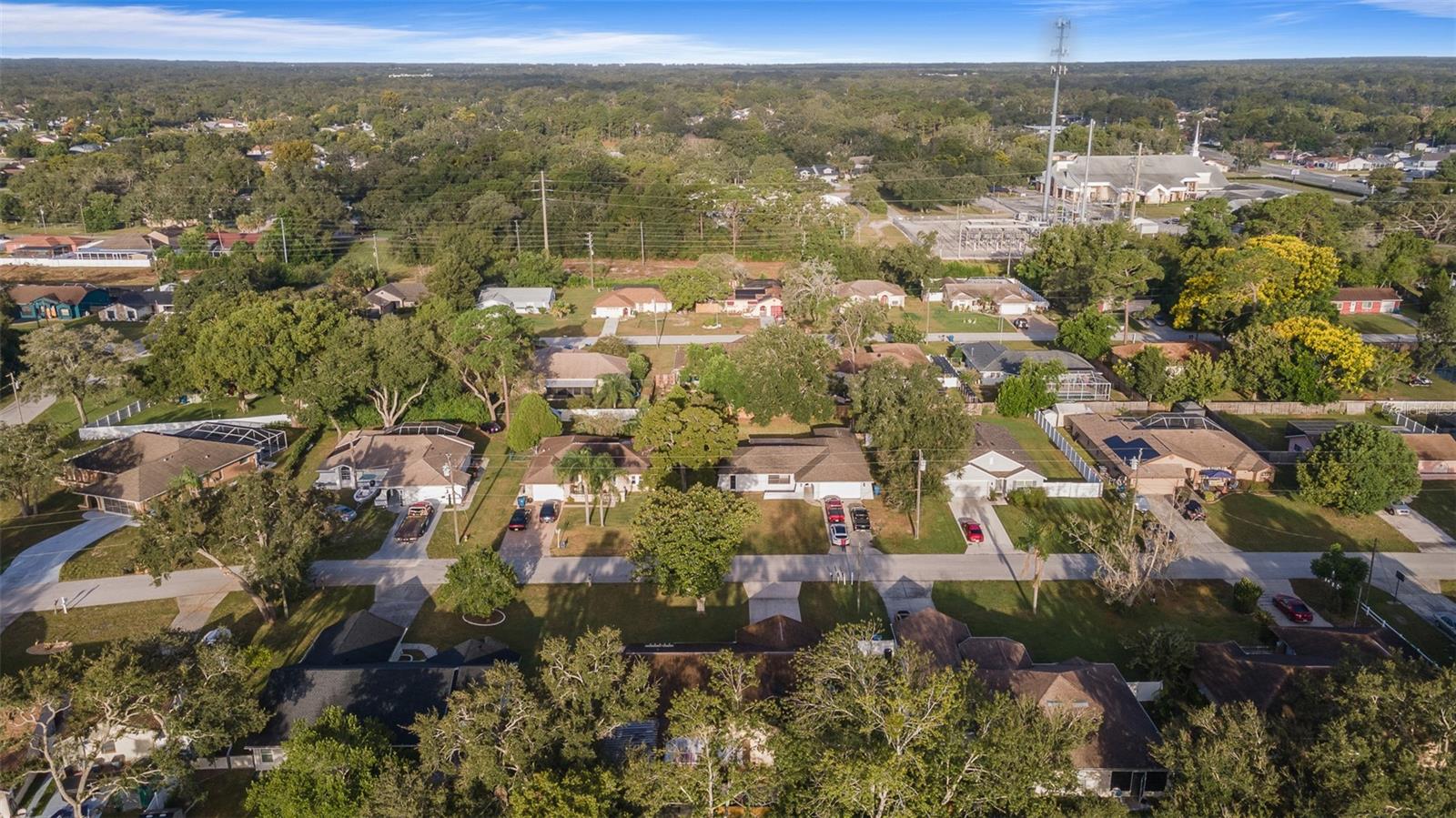 1230 VAN DALE AVE, SPRING HILL, FL, 34608