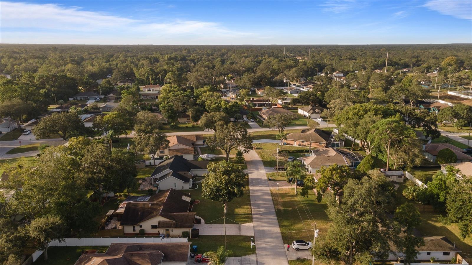 1230 VAN DALE AVE, SPRING HILL, FL, 34608