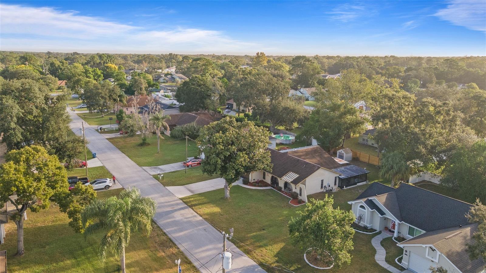 1230 VAN DALE AVE, SPRING HILL, FL, 34608