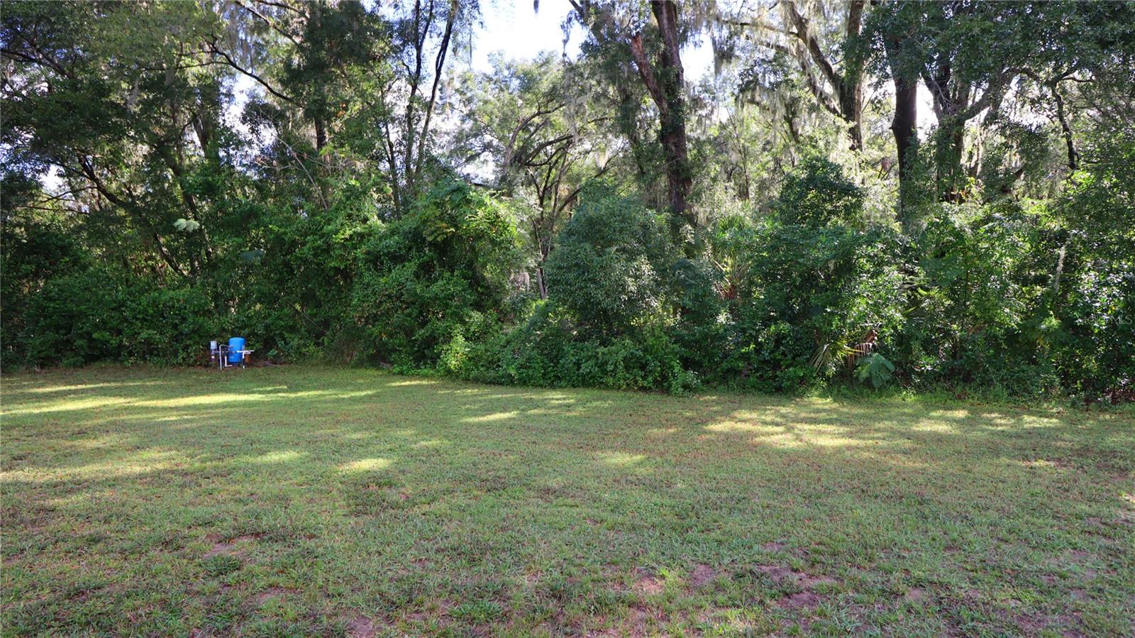 13777 SE 44TH AVE, SUMMERFIELD, FL, 34491