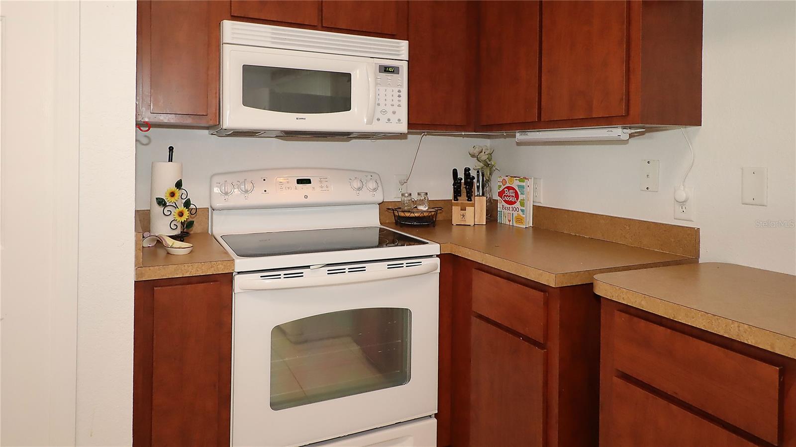 13777 SE 44TH AVE, SUMMERFIELD, FL, 34491