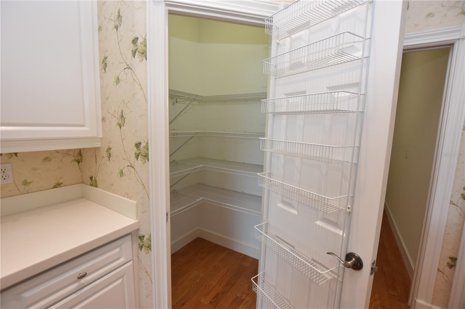 4435 WINDING OAKS CIR, MULBERRY, FL, 33860