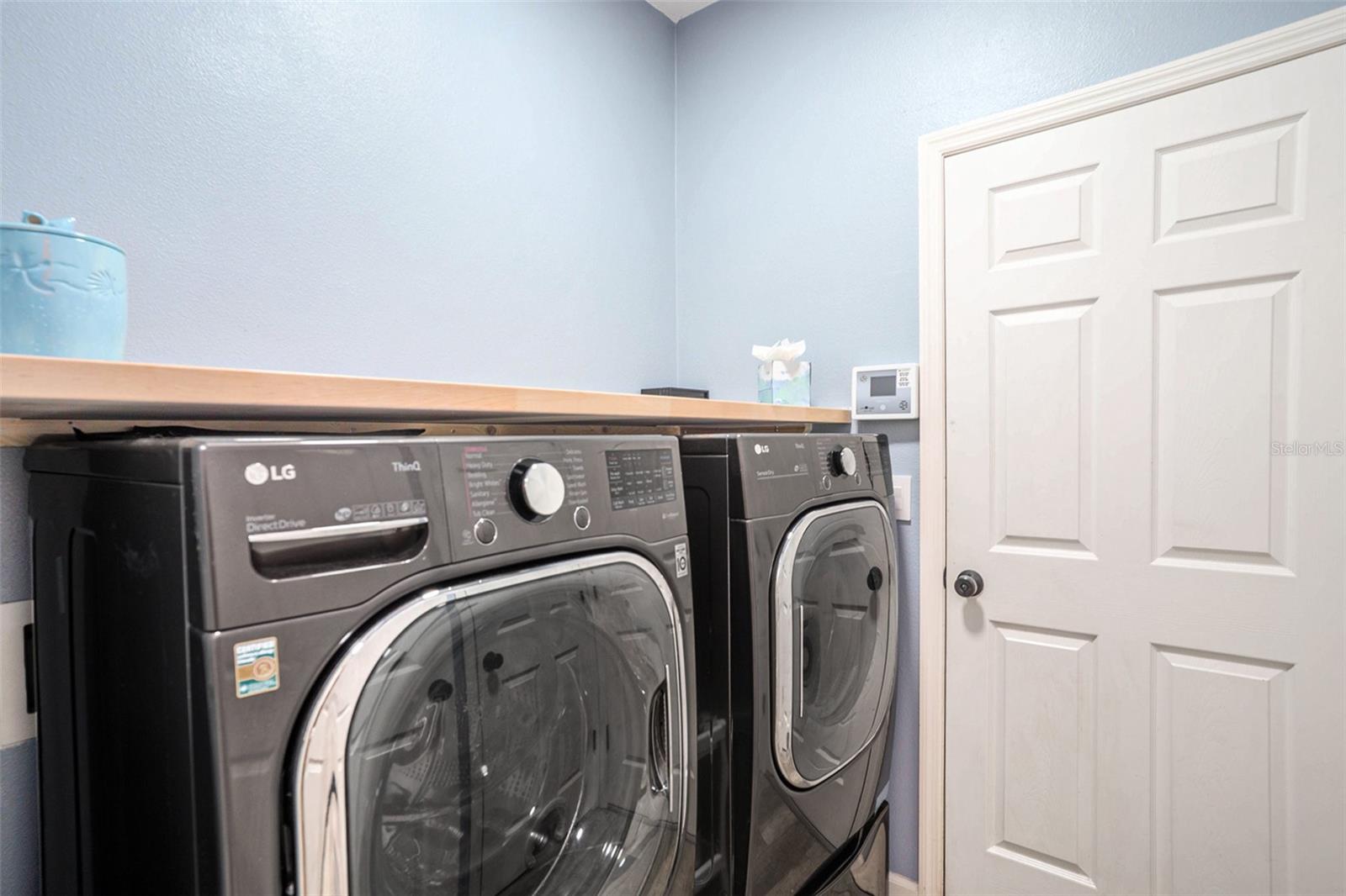 10125 CELTIC ASH DR, RUSKIN, FL, 33573