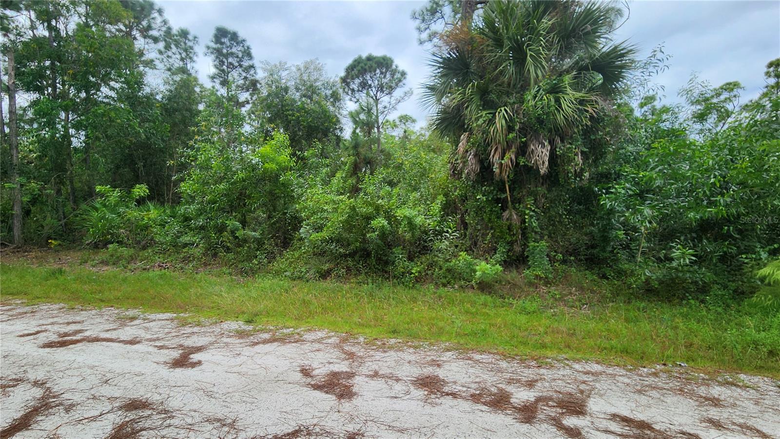 12331 GRAFFITI DR, PUNTA GORDA, FL, 33955