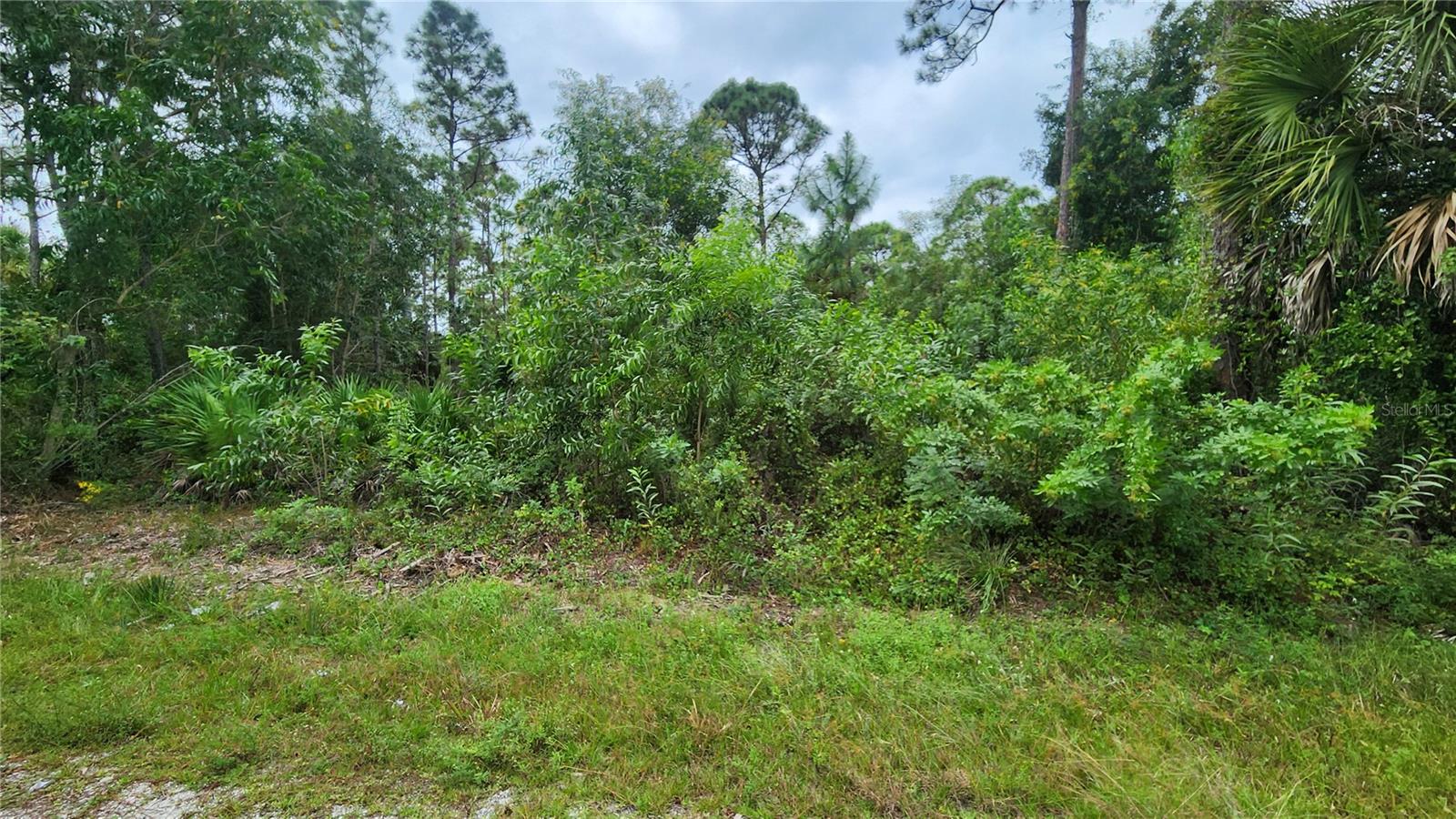 12331 GRAFFITI DR, PUNTA GORDA, FL, 33955