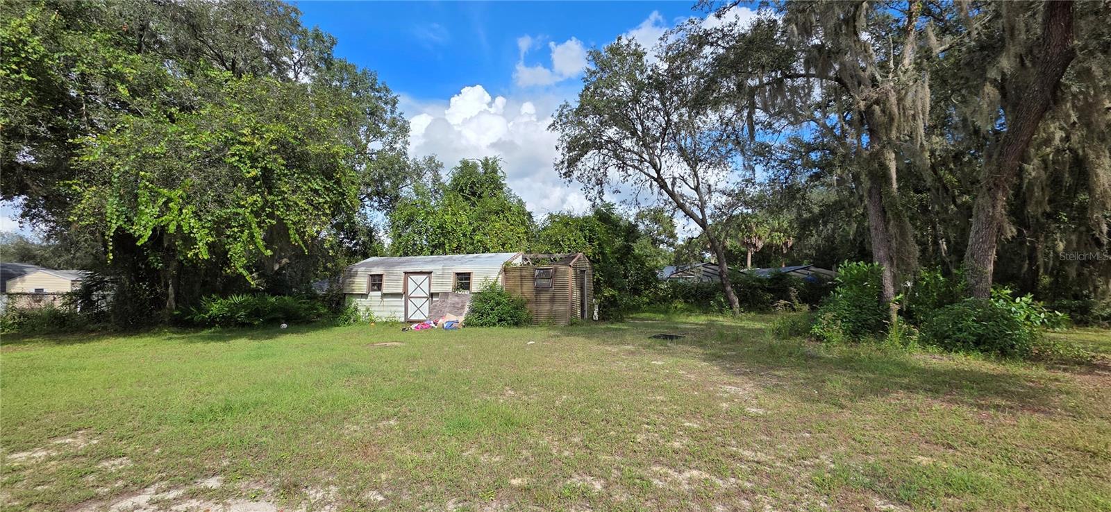 40116 PARKINSONIA ST, LADY LAKE, FL, 32159