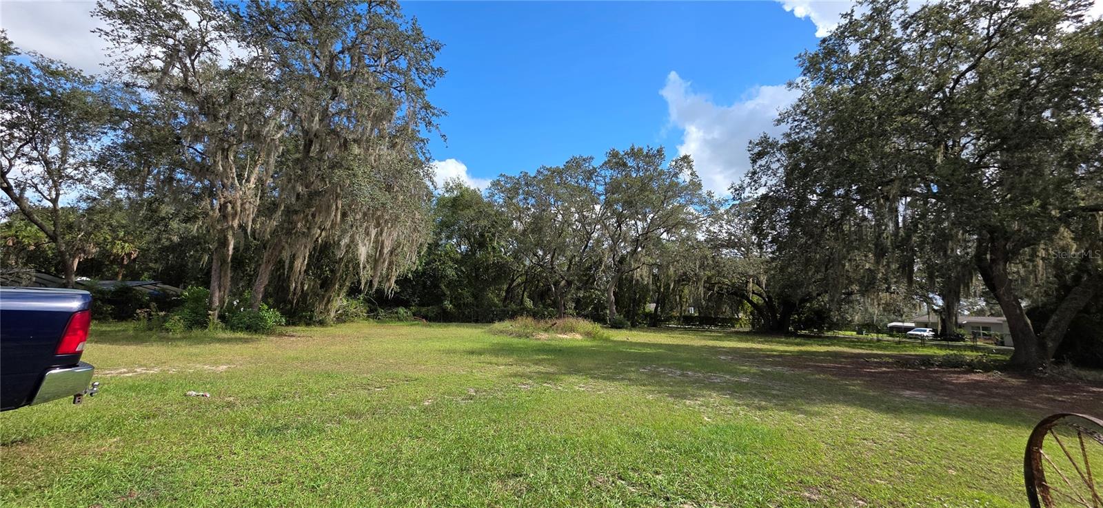 40116 PARKINSONIA ST, LADY LAKE, FL, 32159