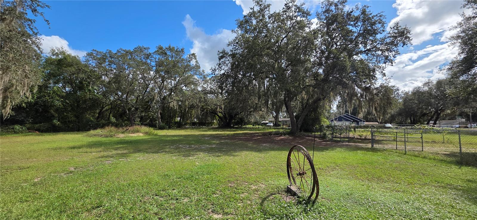 40116 PARKINSONIA ST, LADY LAKE, FL, 32159