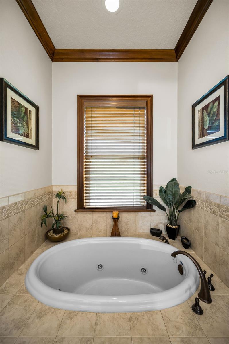 6141 LAFAYETTE ST, NEW PORT RICHEY, FL, 34652