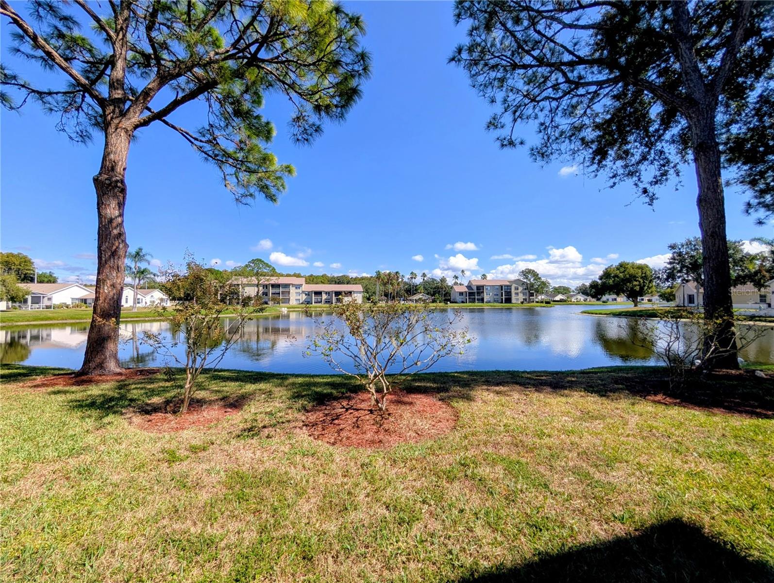 4575 WHITTON WAY #1126, NEW PORT RICHEY, FL, 34653