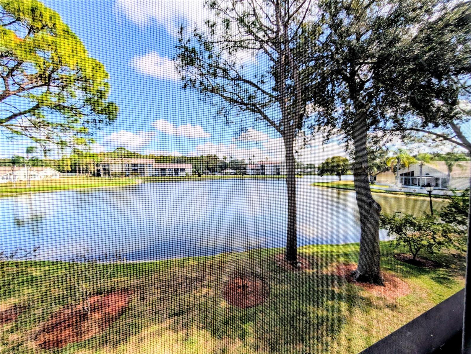 4575 WHITTON WAY #1126, NEW PORT RICHEY, FL, 34653