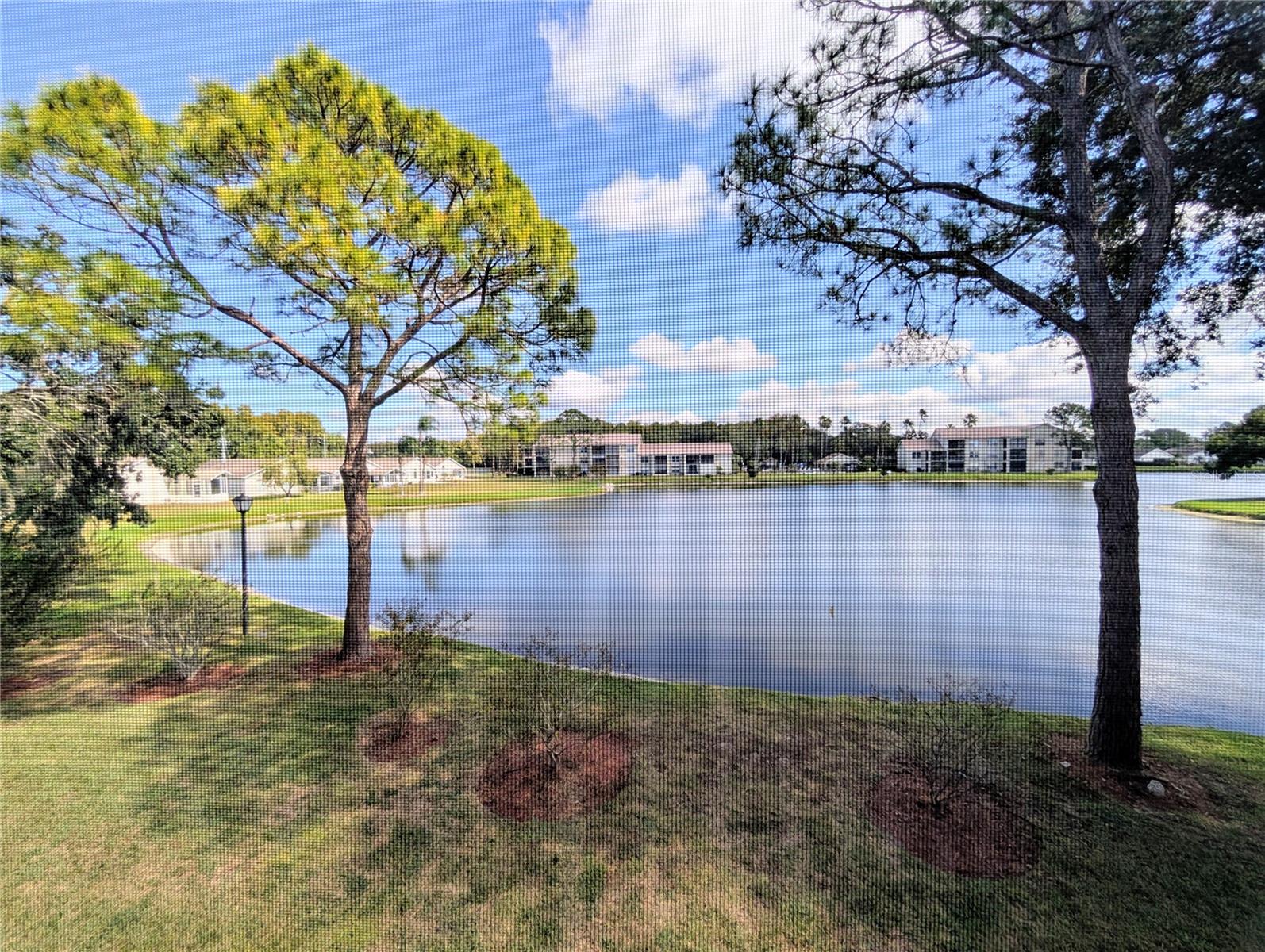 4575 WHITTON WAY #1126, NEW PORT RICHEY, FL, 34653