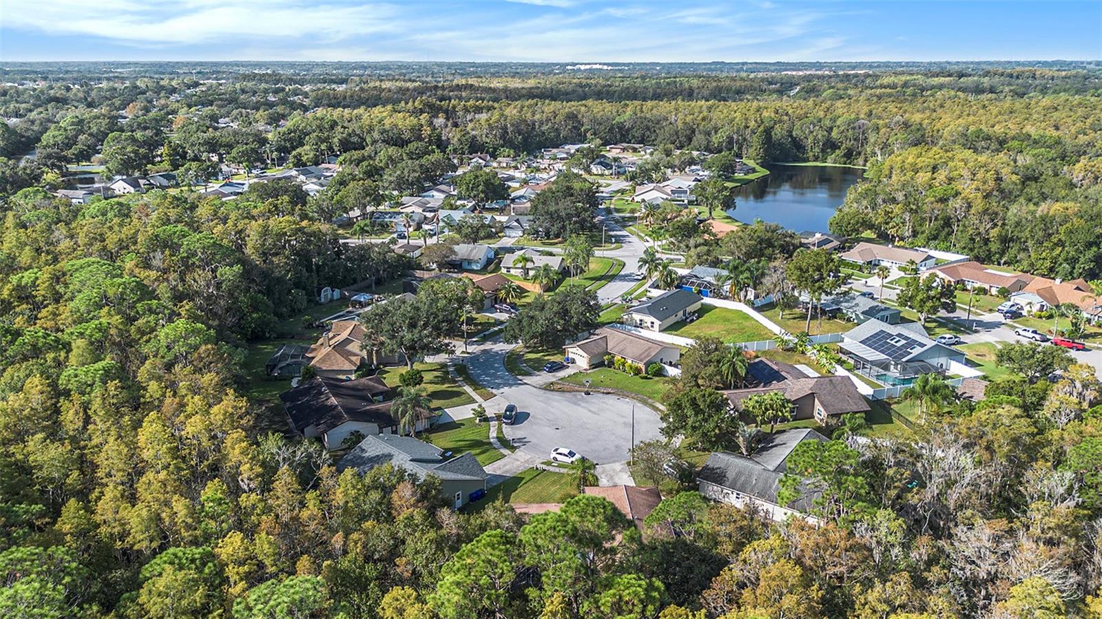 643 SATINLEAF AVE, OLDSMAR, FL, 34677