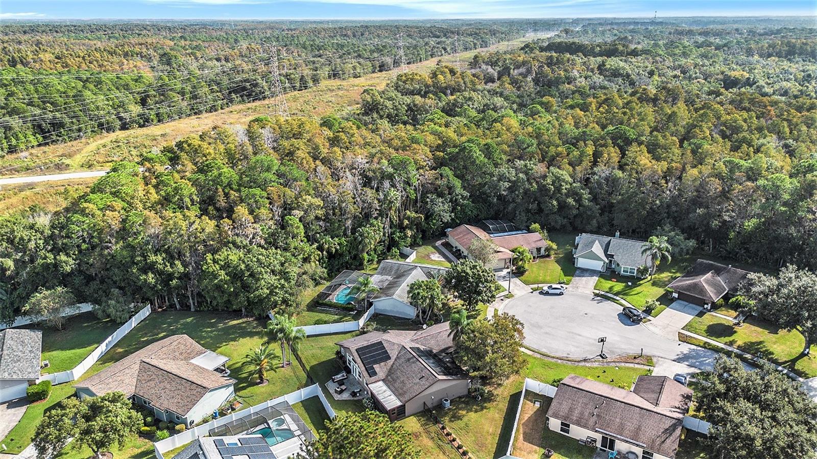 643 SATINLEAF AVE, OLDSMAR, FL, 34677