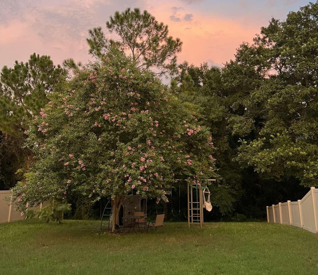 1218 HALAPA WAY, TRINITY, FL, 34655