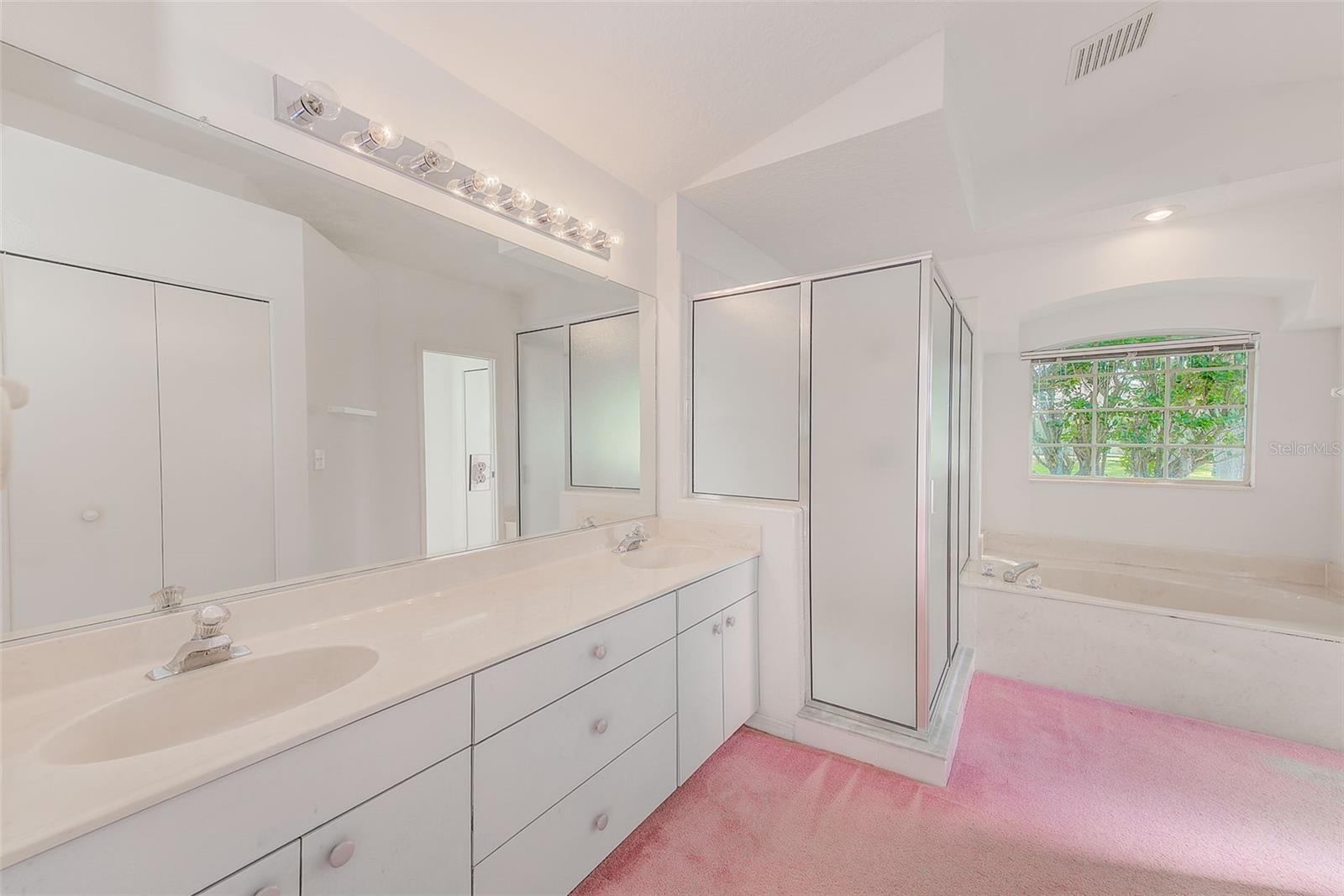 3454 SILVER MEADOW WAY, PLANT CITY, FL, 33566