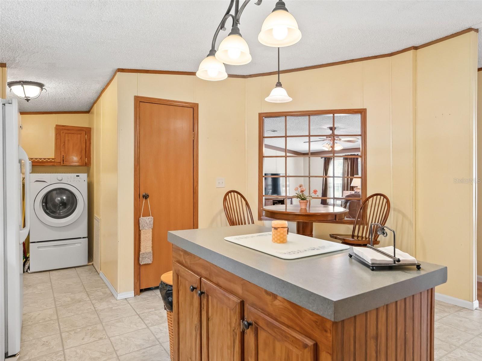 1814 CR 739, WEBSTER, FL, 33597