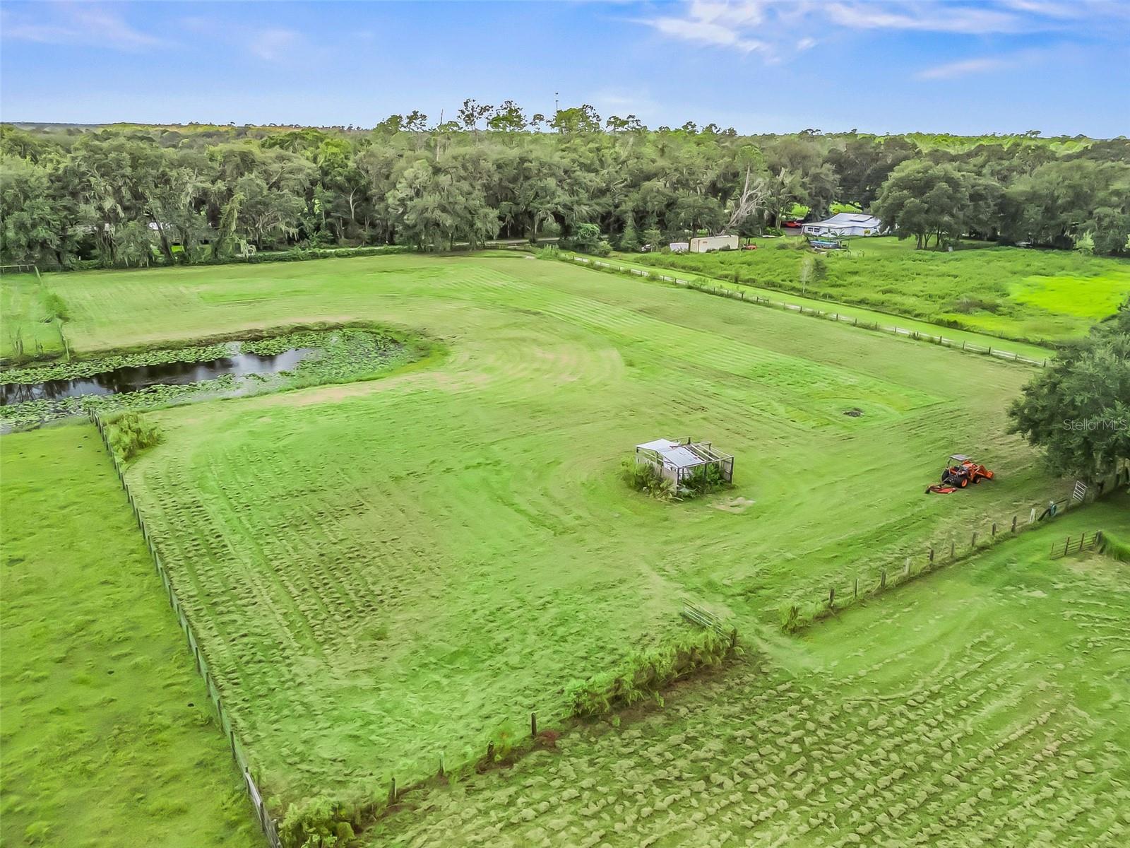 1814 CR 739, WEBSTER, FL, 33597