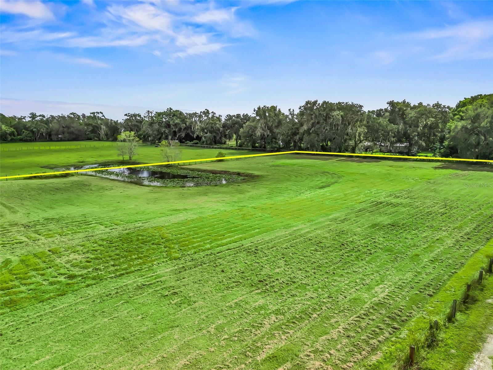 1814 CR 739, WEBSTER, FL, 33597