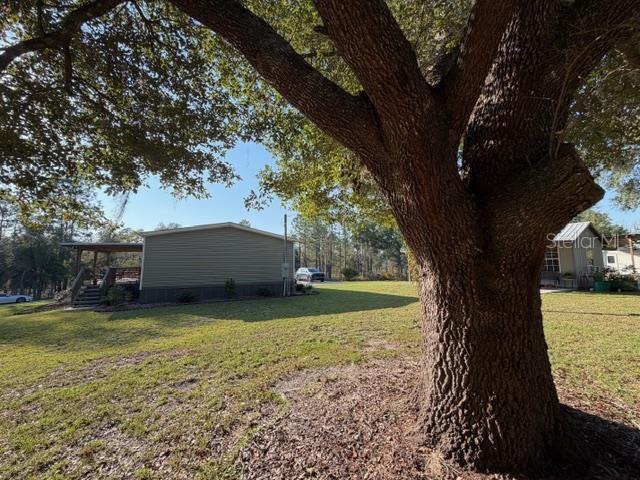 2710 NW COUNTY ROAD 340, BELL, FL, 32619