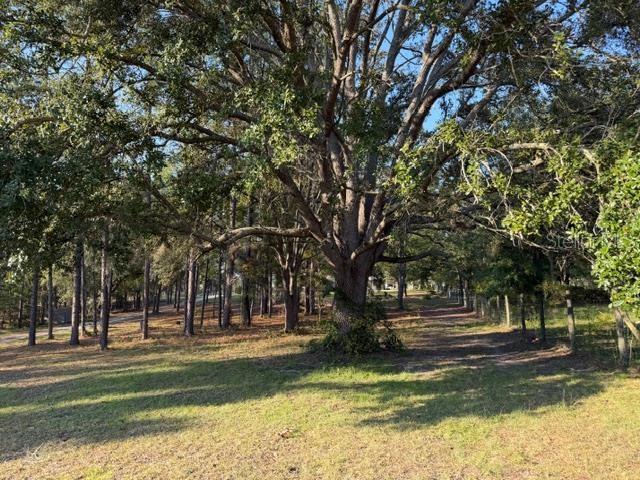 2710 NW COUNTY ROAD 340, BELL, FL, 32619