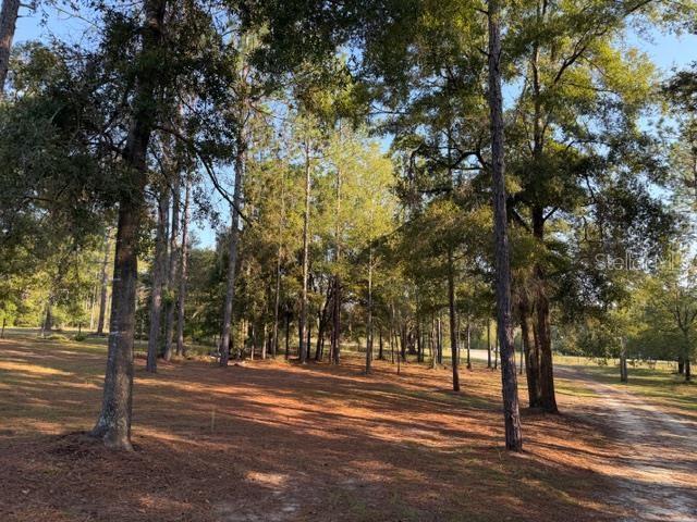 2710 NW COUNTY ROAD 340, BELL, FL, 32619