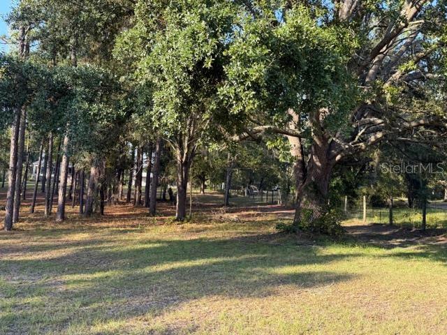 2710 NW COUNTY ROAD 340, BELL, FL, 32619